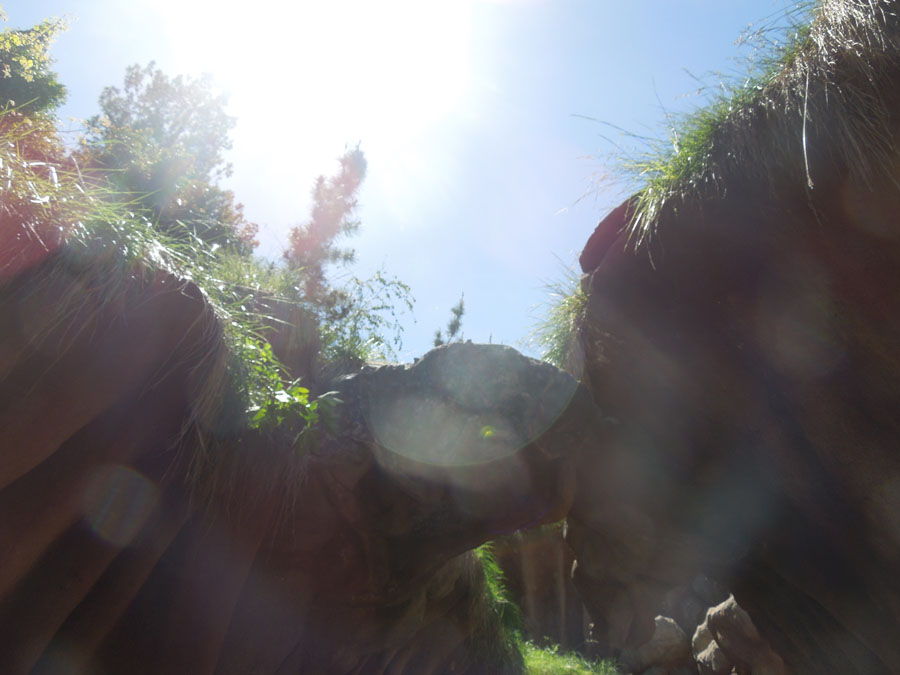 Disneyland Splash Mountain Ride Pictures